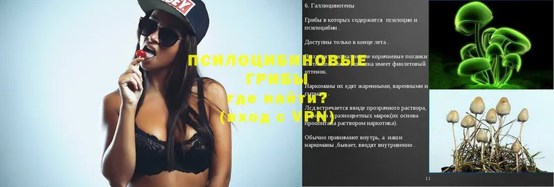 Псилоцибиновые грибы Psilocybine cubensis  darknet формула  Зея 